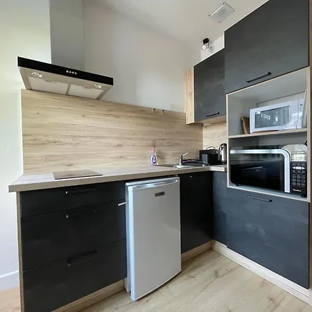 Apartment Meuble De Tourisme Dans Parc Arbore 1000m2 - Sejour-la-roche Eperon *