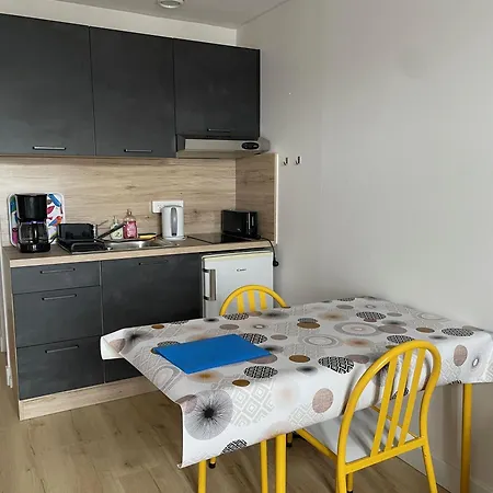 Apartment Meuble De Tourisme Dans Parc Arbore 1000m2 - Sejour-la-roche Eperon La Roche-Posay