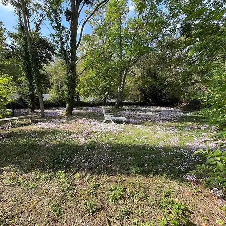 Meuble De Tourisme Dans Parc Arbore 1000m2 - Sejour-la-roche Eperon * לה רוש-פוזה
