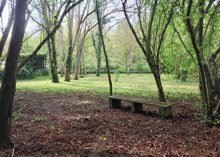 Meuble De Tourisme Dans Parc Arbore 1000m2 - Sejour-la-roche Eperon La Roche-Posay