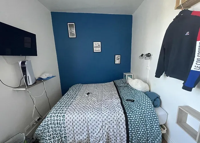 Meuble De Tourisme Dans Parc Arbore 1000m2 - Sejour-la-roche Eperon * La Roche-Posay