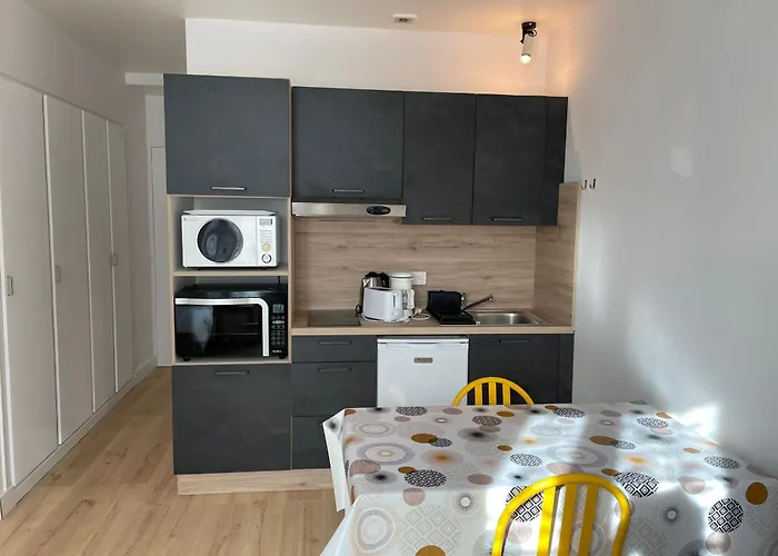 Meuble De Tourisme Dans Parc Arbore 1000m2 - Sejour-la-roche Eperon Apartment La Roche-Posay