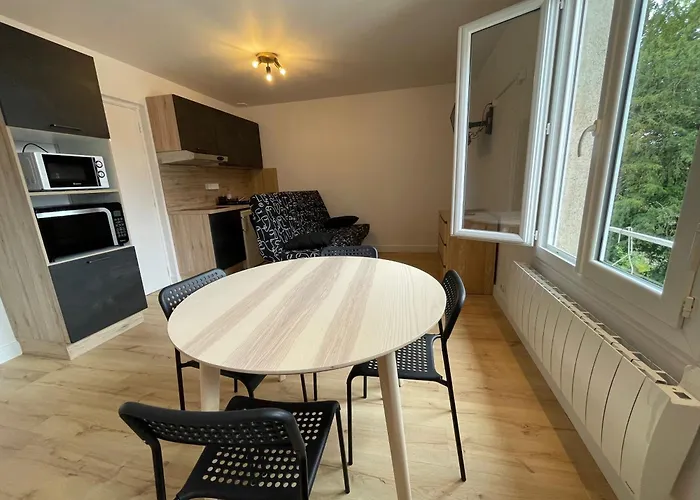 Meuble De Tourisme Dans Parc Arbore 1000m2 - Sejour-la-roche Eperon Apartment La Roche-Posay