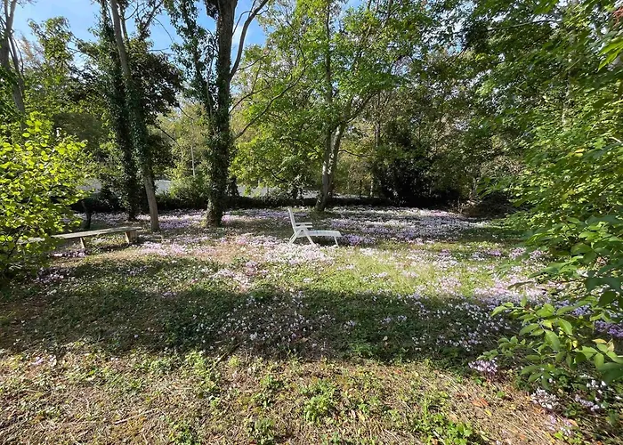 Meuble De Tourisme Dans Parc Arbore 1000m2 - Sejour-la-roche Eperon * La Roche-Posay